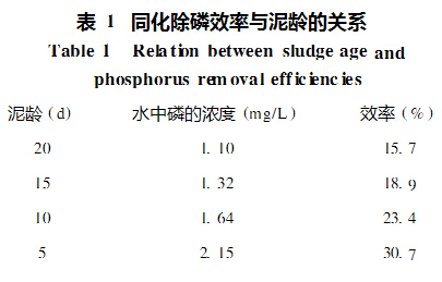 除磷效率与泥龄的关系