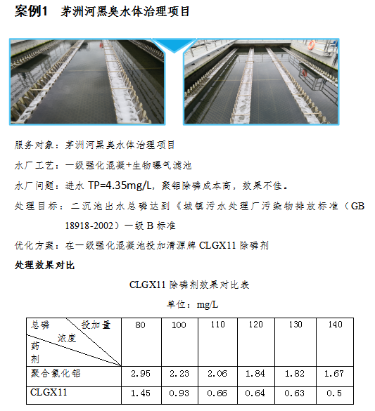 黑臭水体除磷实例