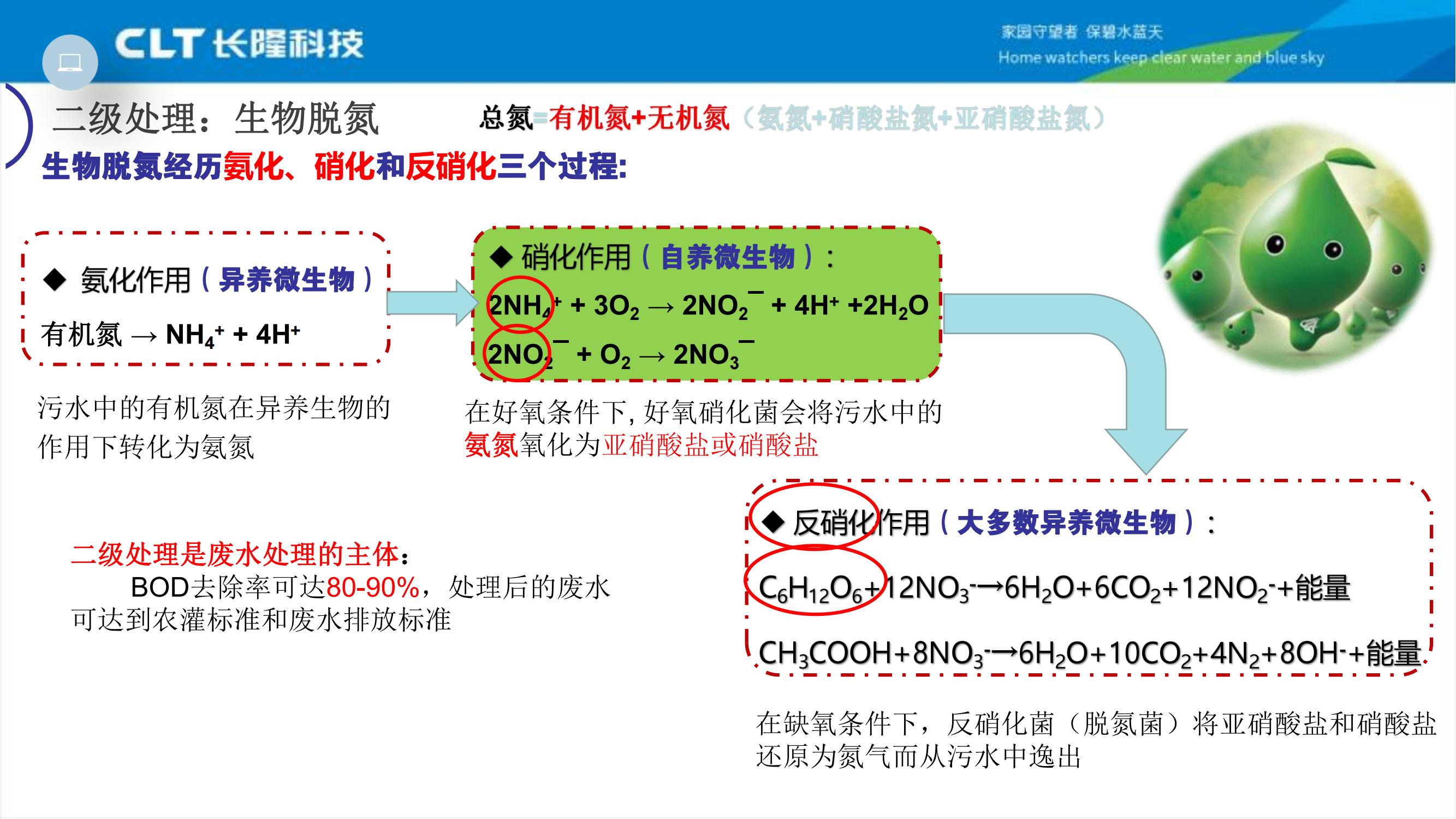 生物脱氮