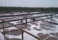 养殖废水磷超标的常规处理方法