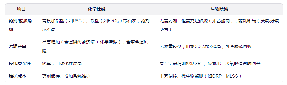 生物除磷与化学除磷的经济性评估