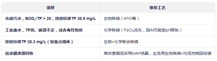 选择除磷工艺建议