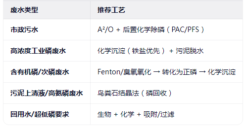 污水除磷工艺选择