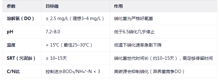 如何为硝化菌创造生存条件